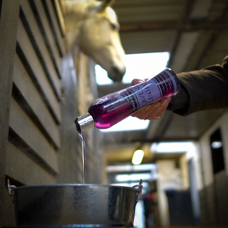 Lavender Liniment