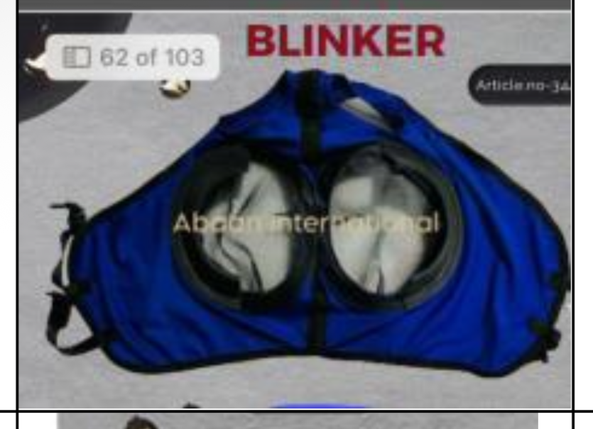 blinkers