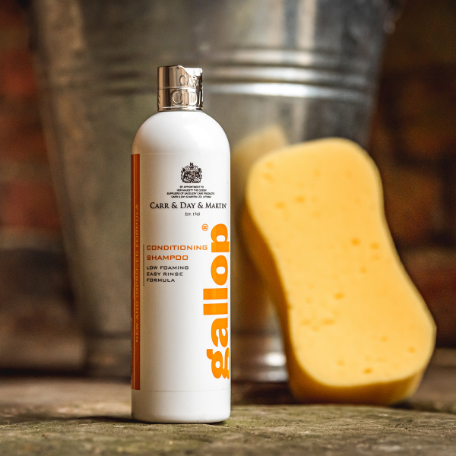 Gallop® Conditioning Shampoo
